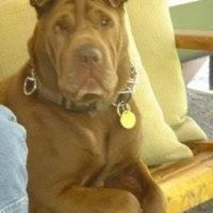 Meet your Posher, Calvin